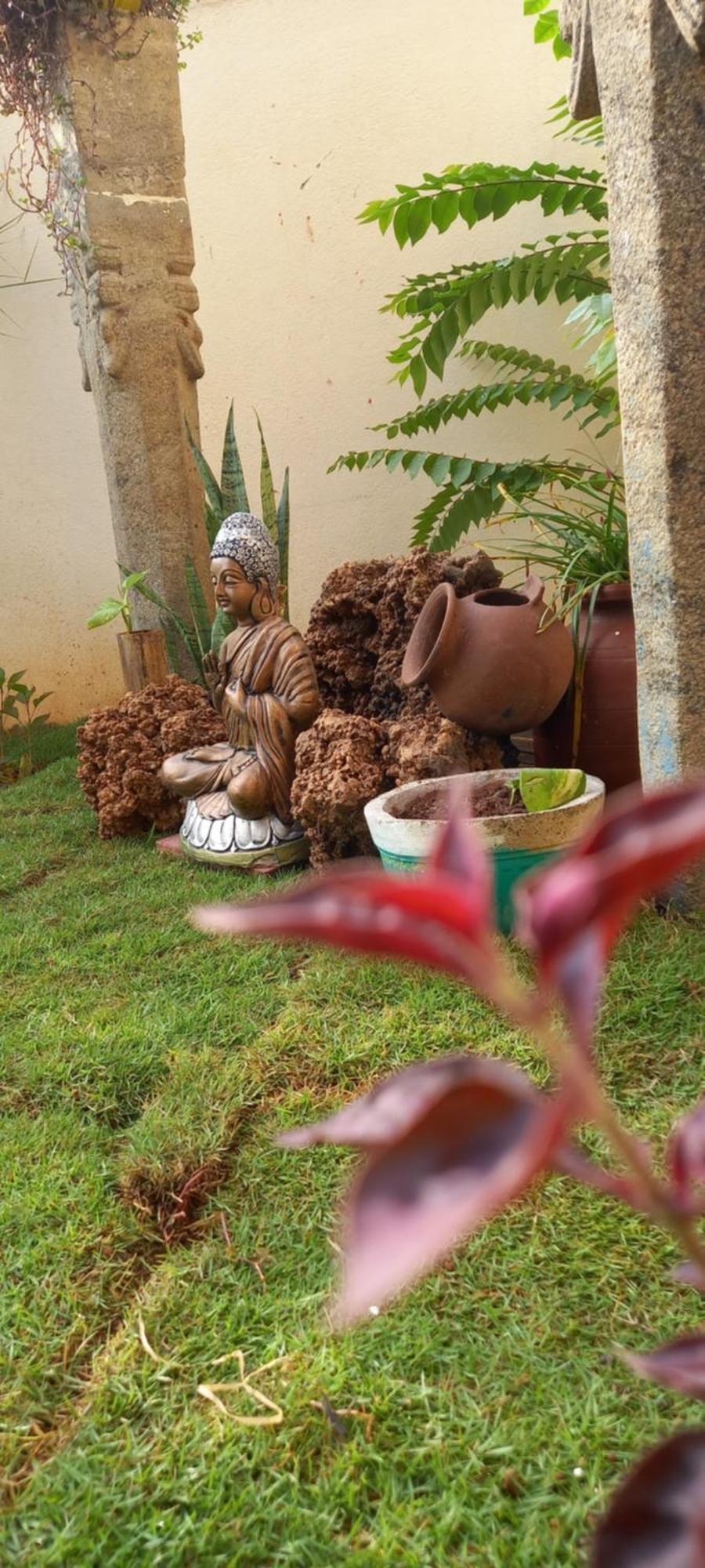 Shi'S Shambhavi Homestay -On The Way To Isha, Maruthamalai コインバトール エクステリア 写真